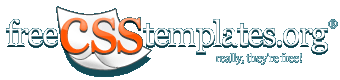 Free CSS Templates Online